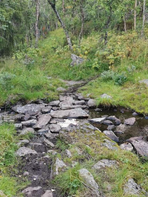 Nybygd hytte i flott tur- og skiterreng Ål Eksteriør bilde