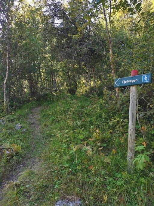 Nybygd hytte i flott tur- og skiterreng Ål Eksteriør bilde
