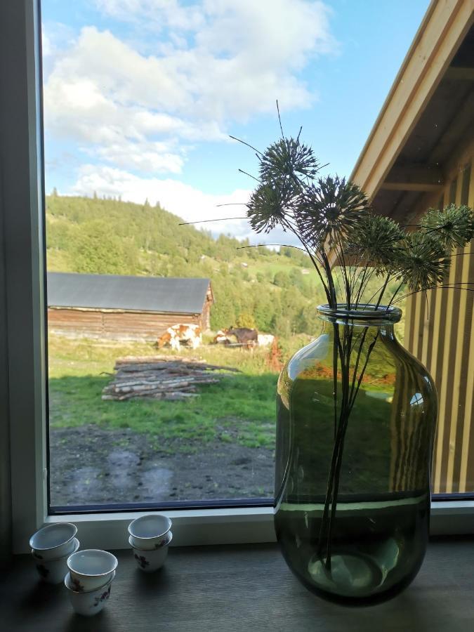 Nybygd hytte i flott tur- og skiterreng Ål Eksteriør bilde