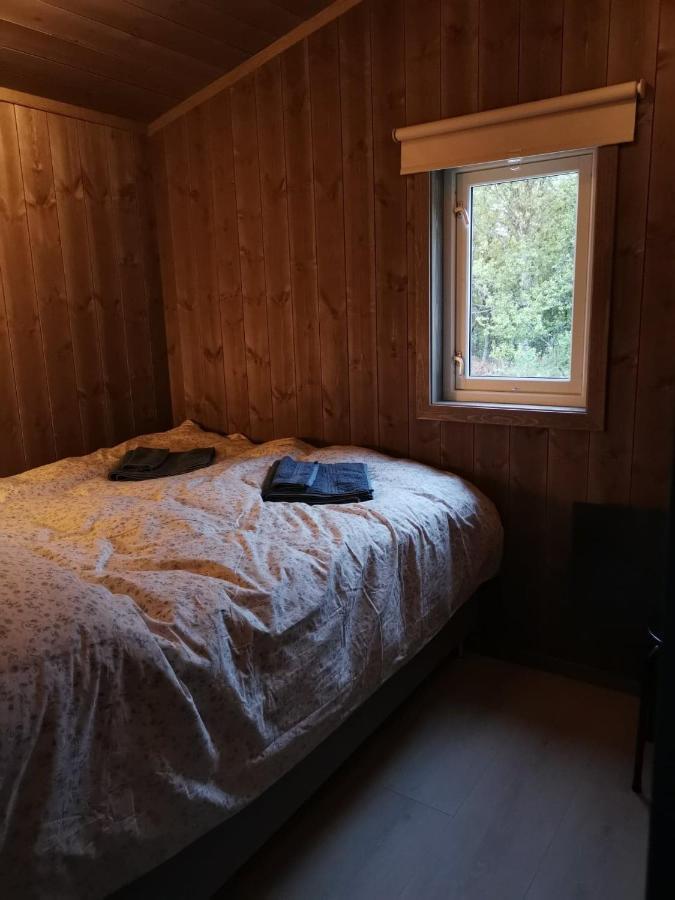 Nybygd hytte i flott tur- og skiterreng Ål Eksteriør bilde
