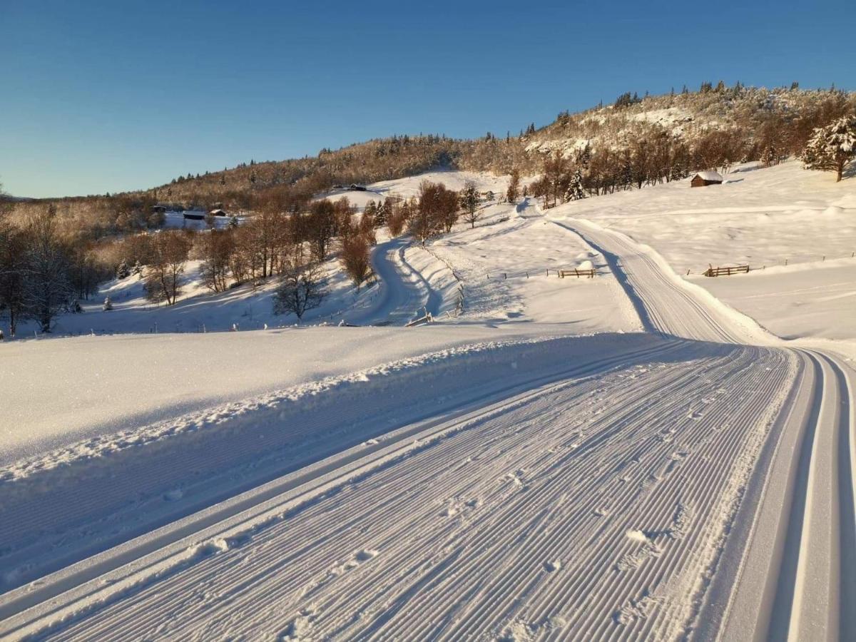 Nybygd hytte i flott tur- og skiterreng Ål Eksteriør bilde