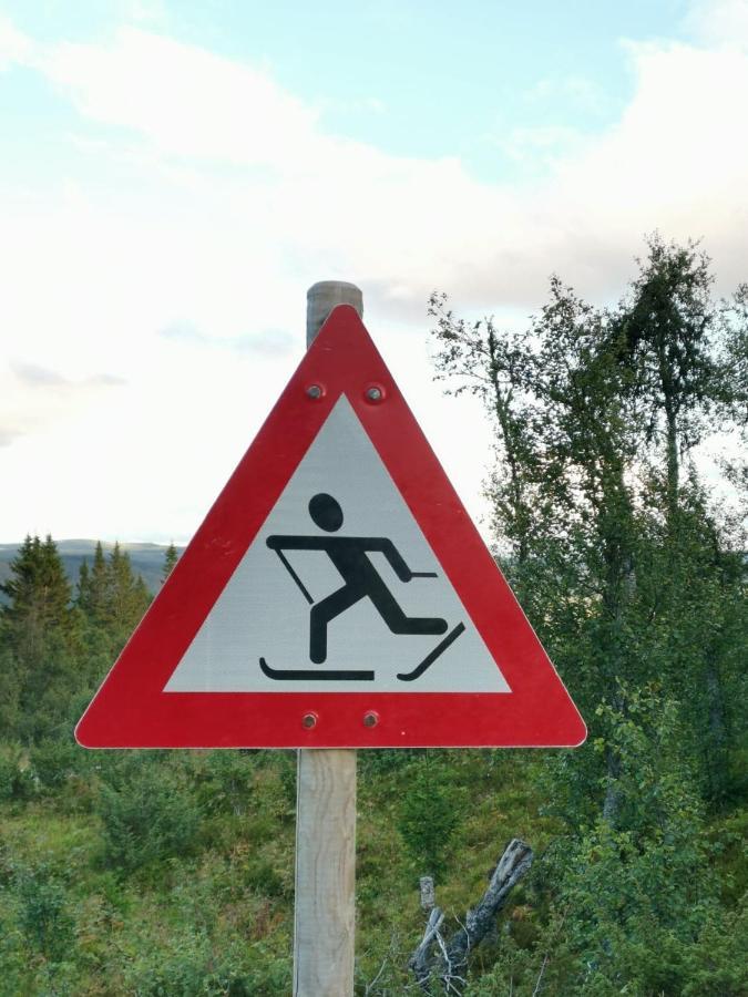 Nybygd hytte i flott tur- og skiterreng Ål Eksteriør bilde