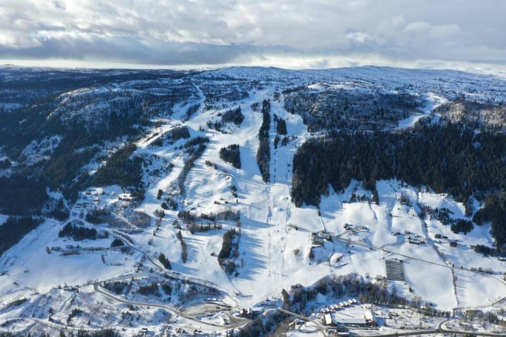 Nybygd hytte i flott tur- og skiterreng Ål Eksteriør bilde