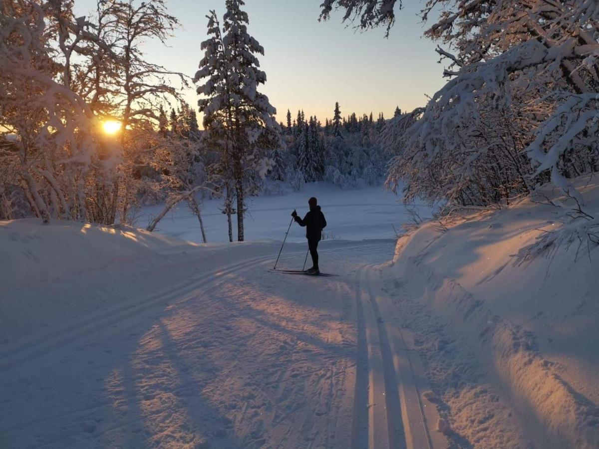 Nybygd hytte i flott tur- og skiterreng Ål Eksteriør bilde