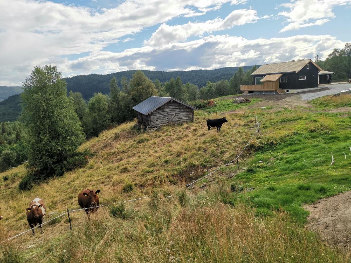 Nybygd hytte i flott tur- og skiterreng Ål Eksteriør bilde