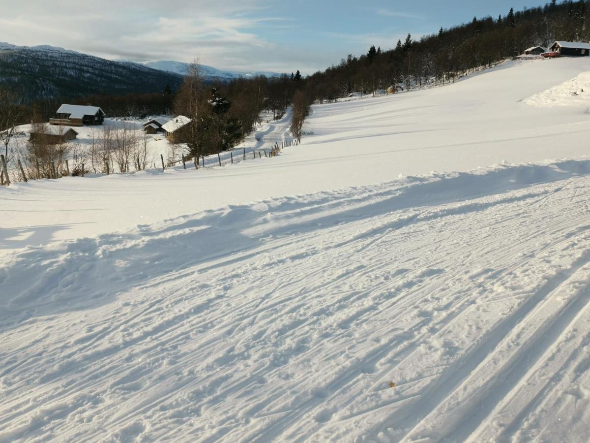 Nybygd hytte i flott tur- og skiterreng Ål Eksteriør bilde