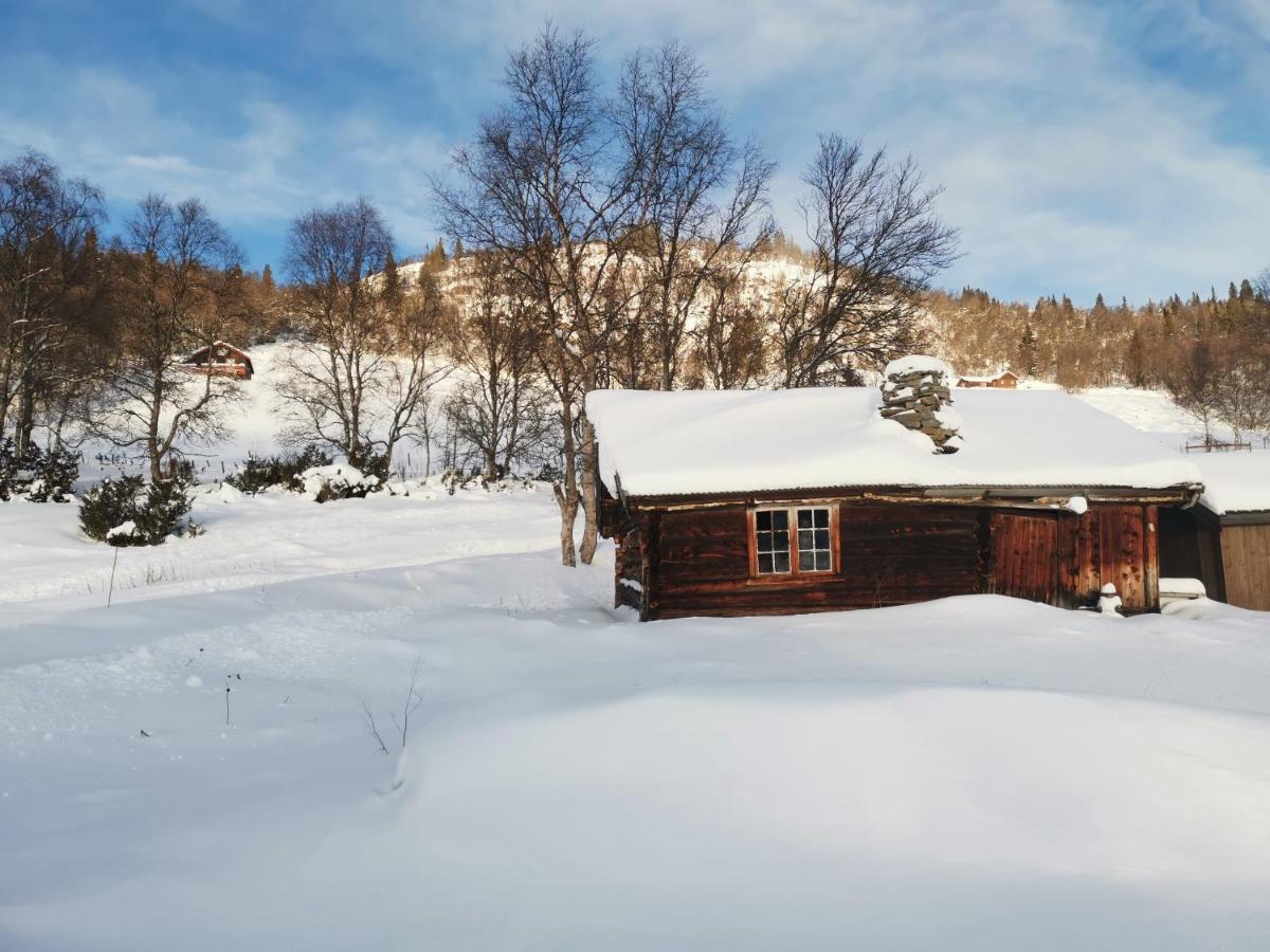 Nybygd hytte i flott tur- og skiterreng Ål Eksteriør bilde