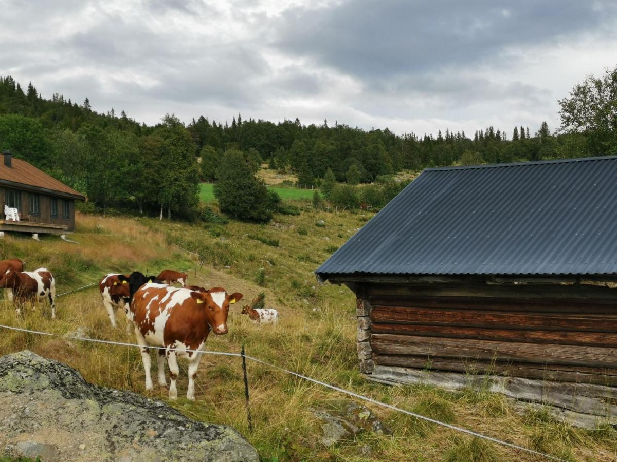 Nybygd hytte i flott tur- og skiterreng Ål Eksteriør bilde