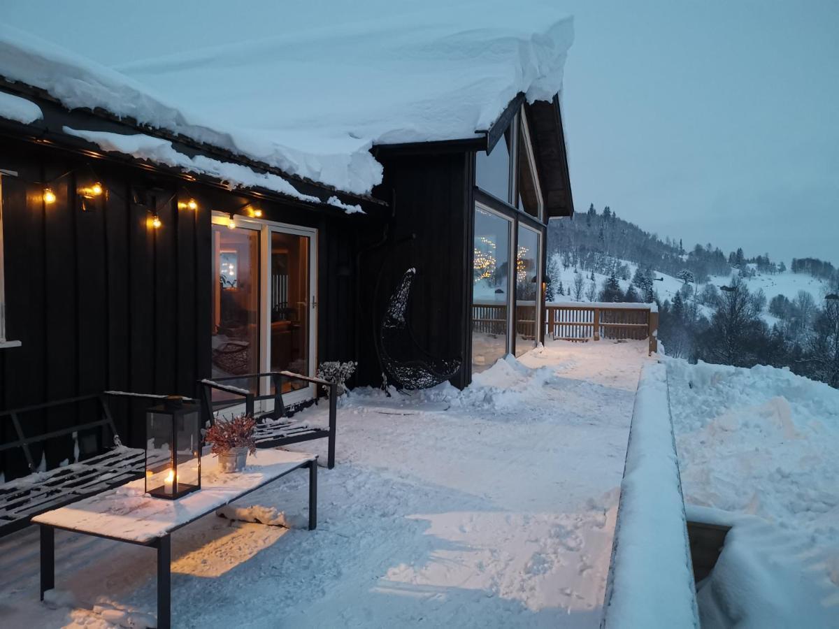 Nybygd hytte i flott tur- og skiterreng Ål Eksteriør bilde